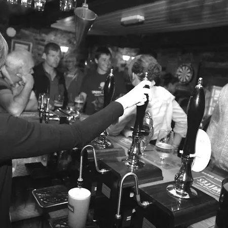 酒店 The Queens Arms 3*