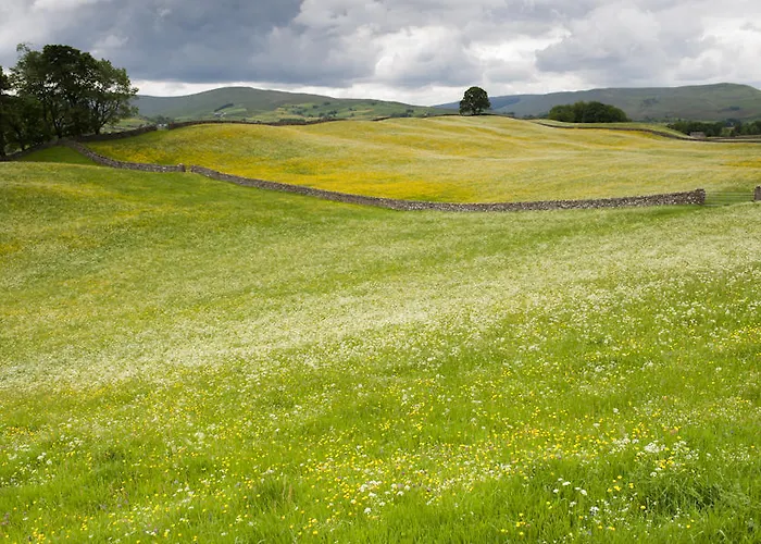 The Queens Arms Hotel 3*