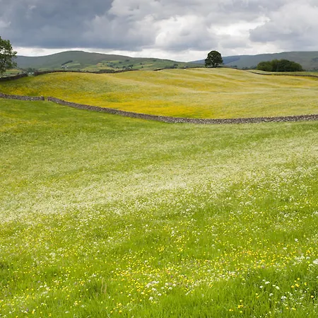 The Queens Arms 酒店 3*